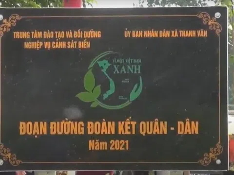 Hà Nội: Trồng mới 250 cây bóng mát trong chương trình Vì Một Việt Nam Xanh