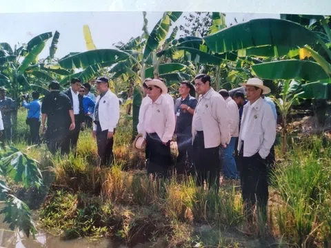 Suy nghĩ về triết lý kinh tế vừa đủ của đức vua Thái Lan Bhumibol Adulyadej