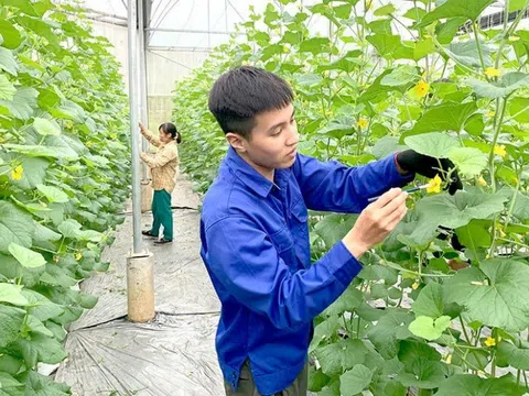 Thực trạng và đề xuất chính sách phát triển nông nghiệp đô thị TP Hà Nội