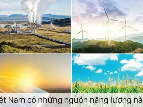 HIỆU QUẢ NĂNG LƯỢNG VIỆT NAM 2021