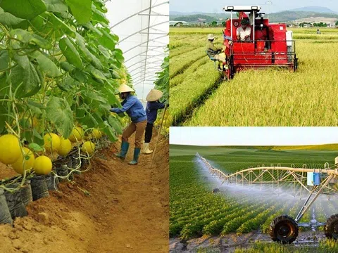 Khát vọng phát triển nông nghiệp Việt Nam theo hướng chuyển đổi mô hình tăng trưởng: Bài 2: Phải thay đổi tư duy của người nông dân