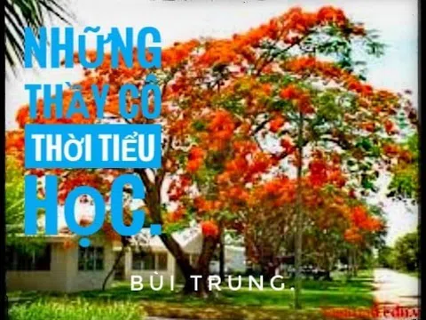 Những thầy cô thời tiểu học