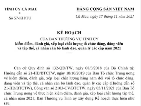 Cà Mau với kế hoạch kiểm điểm, đánh giá…