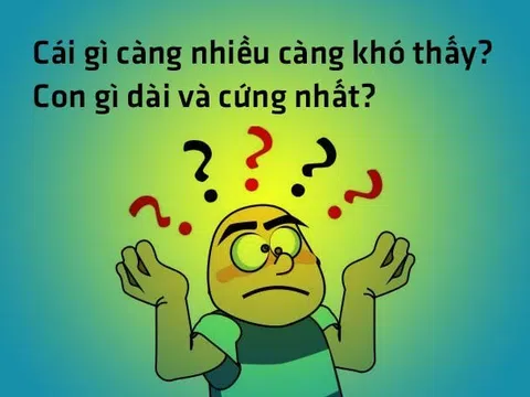 Hiện tượng đồng nghĩa khác dạng và đồng dạng khác nghĩa của câu đố