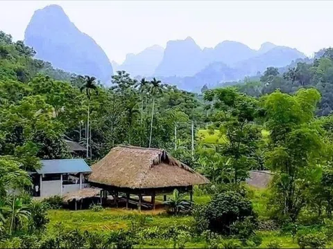 Đêm đông ở vùng cao