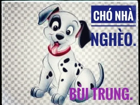 Chó nhà nghèo