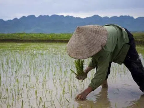 Hôm nay trời rét lắm