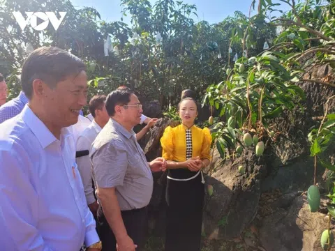 Thủ tướng Phạm Minh Chính đối thoại với nông dân