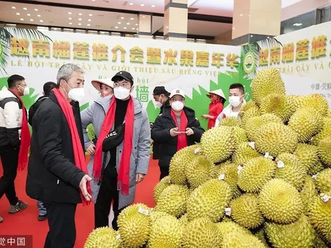 Khi TikTok làm nên “kỳ tích” sầu riêng: Việt Nam liệu đã sẵn sàng bước vào cuộc chơi?