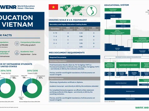 Người trẻ và cơn ‘mù mờ’ về thuế – bảo hiểm: Khi trách nhiệm công dân trở thành ‘khoảng trống giáo dục' từ nhà trường