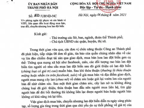 Hà Nội: Chỉ đạo đấu tranh với hiện tượng lừa đảo qua giao dịch lan đột biến và triển khai một số biện pháp để bảo vệ người tiêu dùng, người sản xuất, kinh doanh chân chính