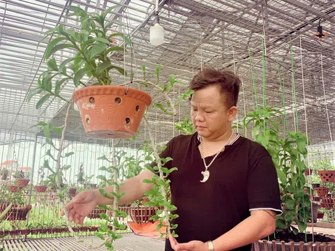 Nghệ nhân Nguyễn Đăng Ghin (Phú Xuyên - Hà Nội) chia sẻ về lợi ích của thú chơi hoa lan