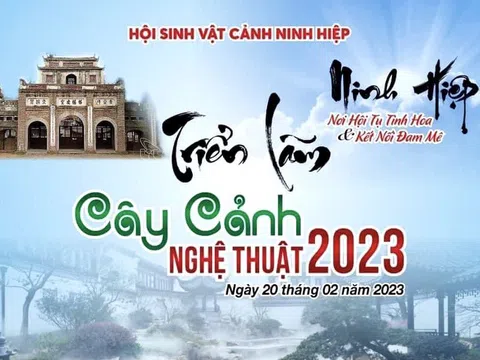 Ấn tượng Triển lãm Cây cảnh Nghệ thuật Ninh Hiệp 2023