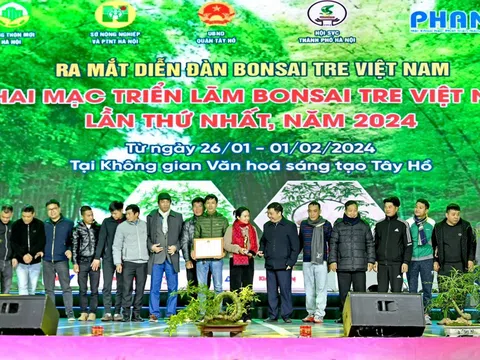 Ra mắt Diễn đàn Bonsai Tre Việt Nam