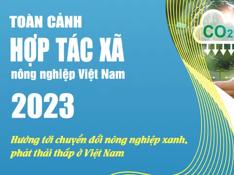 EBOOK: Toàn cảnh hợp tác xã nông nghiệp Việt Nam năm 2023