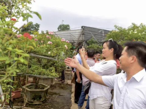 Từ không gian làng nghề đến sân chơi toàn cầu: Vai trò của thiết kế sáng tạo đối với sản phẩm OCOP Việt Nam