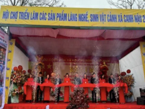 Thiết kế sáng tạo – động lực nâng cao giá trị sản phẩm OCOP trong chuỗi cung ứng hiện đại