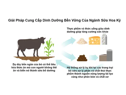 Ngành bơ sữa Hoa Kỳ: Các giải pháp nguyên liệu bền vững giúp thành công trong việc cải tiến thực phẩm