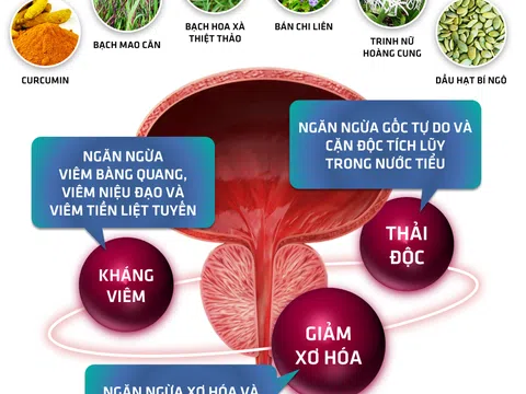 Hướng đi mới cho tình trạng tiểu nhiều, tiểu rắt, tiểu khó, tiểu buốt ở nam giới tuổi trung niên