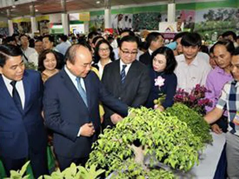 Hà Nội nhiều chính sách thúc đẩy phát triển làng nghề hoa cây cảnh