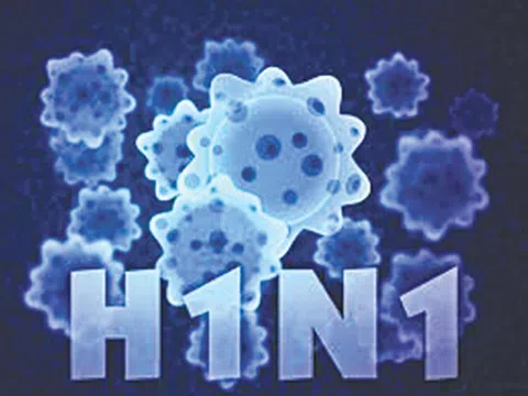 Phòng bệnh cúm A/H1N1 thế nào?