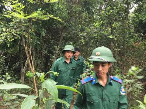 Tuyên Quang: Lâm Bình nỗ lực làm giàu vốn rừng