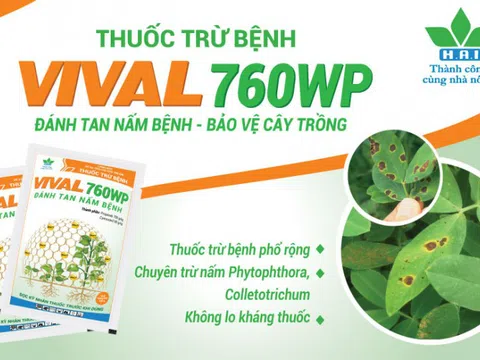 VIVAL 760WP – thuốc trừ nấm bệnh thế hệ mới của Nông dược HAI