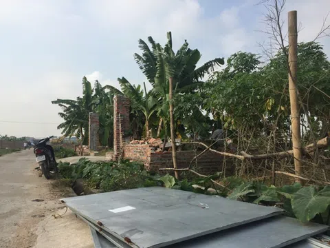 Vĩnh Phúc: Vĩnh Tường xử lí vi phạm lấn chiếm đất nông nghiệp ở xã Đại Đồng
