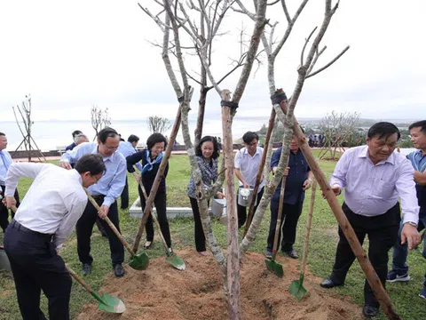 Vinamilk chung tay bảo vệ môi trường tại tỉnh Bình Định thông qua Quỹ 1 triệu cây xanh cho Việt Nam