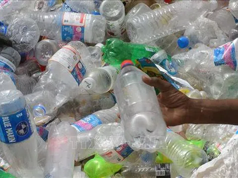 Vi hạt nhựa -“sát thủ thầm lặng” đối với môi trường và sức khỏe con người