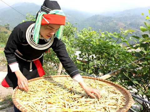 Hà Giang: Nhân lên kho tàng di sản văn hóa độc đáo của dân tộc Dao