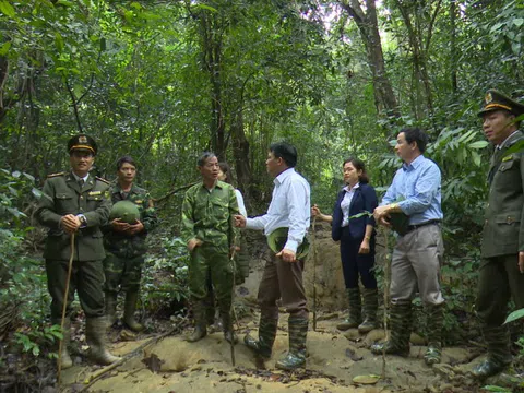 Tuyên Quang: Gắn bó giữ rừng ở Na Hang