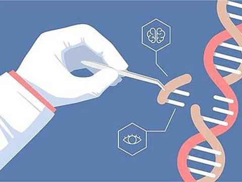 Cột mốc mới trong ứng dụng kỹ thuật chỉnh sửa gene CRISPR chống ung thư
