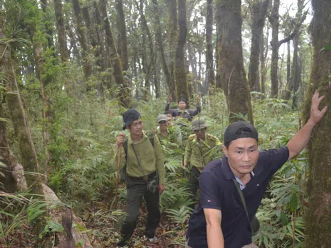 Hà Giang: Bảo vệ và phát triển bền vững rừng đặc dụng Tây Côn Lĩnh