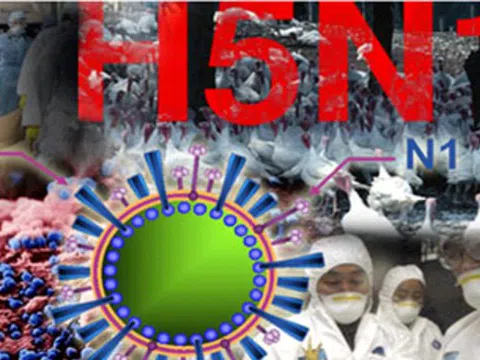 Tăng cường tuyên truyền phòng, chống dịch cúm A (H5N1)