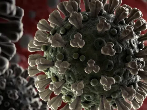 Séc sáng chế lớp màng lọc rời tăng hiệu quả phòng ngừa virus SARS-CoV-2