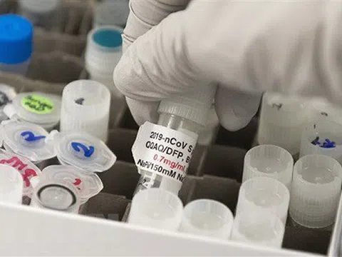 Mỹ thử nghiệm thành công vaccine ngừa SARS-CoV-2 trên chuột