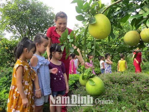 Nam Định: Nâng cao ý thức ứng phó với biến đổi khí hậu, bảo vệ môi trường cho học sinh