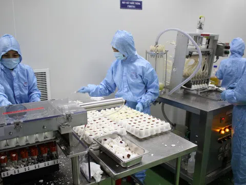 Sản xuất và sử dụng vacxin cúm gia cầm H5N1 tại Việt Nam