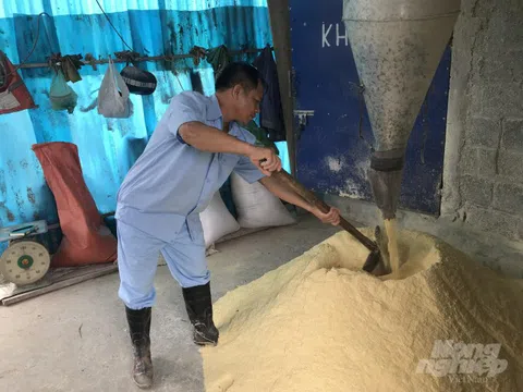 Thái Nguyên: Chăn nuôi Xanh hiệu quả tốt