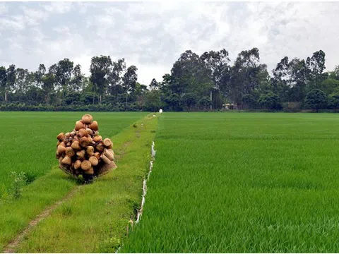 Thủ Sỹ - Nơi những chiếc đó ra đời