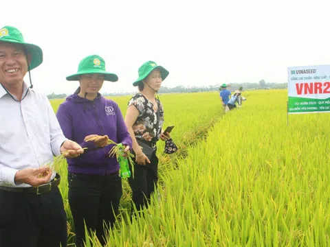 Vĩnh Phúc: Tăng cường cơ giới hóa đồng bộ sản xuất lúa