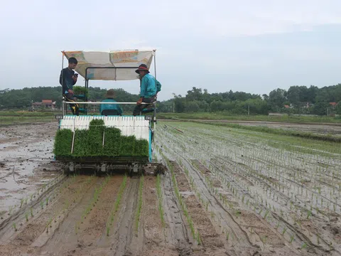 Thái Nguyên: Triển vọng từ dự án sản xuất nông nghiệp hỗn hợp ở Tân Kim