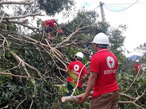 Cứu trợ khẩn cấp các gia đình bị thiệt hại bởi bão số 9 và mưa lũ