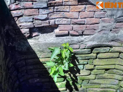 Khám phá chiếc giếng nghìn tuổi nước cực ngon giữa phố cổ Hội An