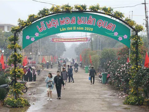 Hưng Yên: Lễ hội hoa năm 2020