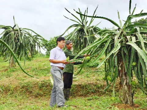 97% lao động tại các trang trại chưa qua đào tạo nghề