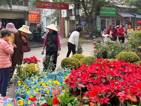 Nhộn nhịp chợ hoa Vạn Phúc (Hà Đông)