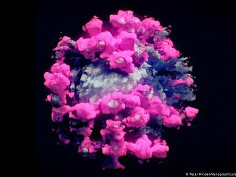 Lần đầu tiên chụp được ảnh 3D thực của virus SARS-CoV-2