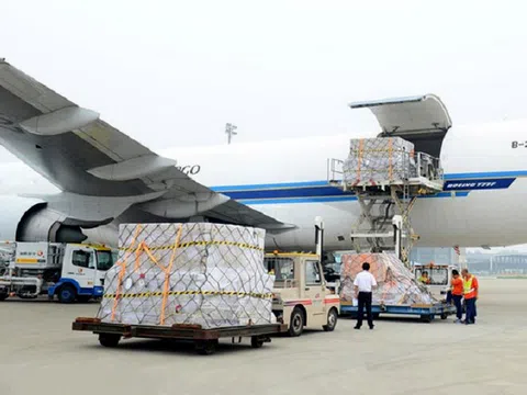 Logistics hàng không vẫn tăng trưởng, lãi về sát mức trước đại dịch